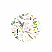 xiaosongQAQ的个人资料头像