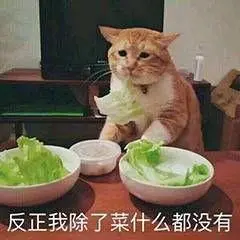除了菜什么都没有