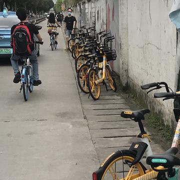 Danni3于2020-05-19 10:58发布的图片