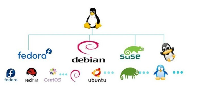 Linux主要发行版