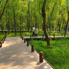 爱吃荆芥于2020-05-02 17:01发布的图片