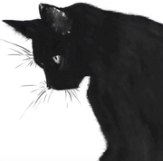 luoqiling的个人资料头像