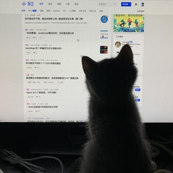 Elsaooo于2020-05-02 20:21发布的图片