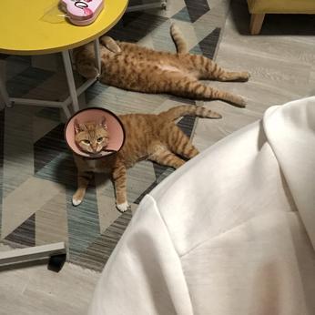 FruitDish于2020-05-02 22:25发布的图片