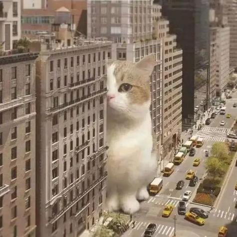 youth_于2020-05-20 08:01发布的图片