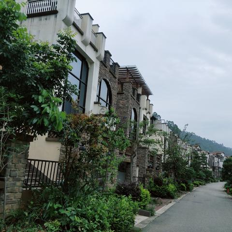 aligato_于2020-05-20 09:45发布的图片