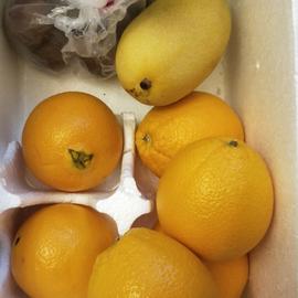 aligato_于2020-05-20 09:45发布的图片