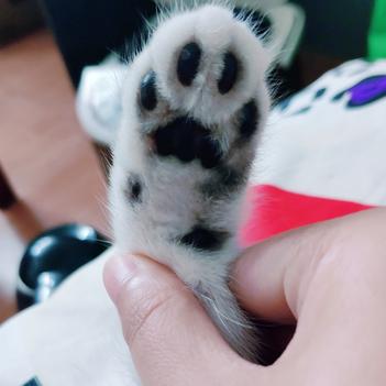 木木小土豆于2020-05-20 10:01发布的图片