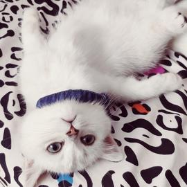 木木小土豆于2020-05-20 10:01发布的图片