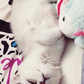 木木小土豆于2020-05-20 10:01发布的图片