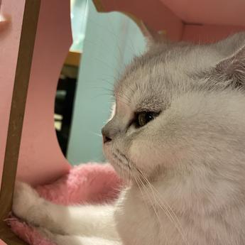 小蜗牛de代码实验室于2020-05-20 12:15发布的图片