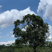 xixi嘻嘻的个人资料头像