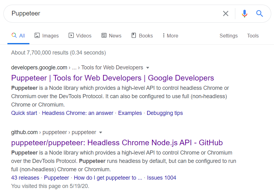 Google 搜索 Puppeteer