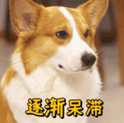 SkyLaker的个人资料头像