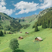 Caroline_MM的个人资料头像