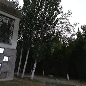 前端小豆于2020-05-21 15:33发布的图片