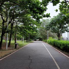 吕氏春秋于2020-05-21 17:25发布的图片