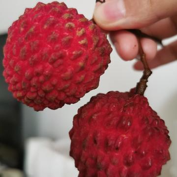 杨娇于2020-05-22 13:48发布的图片