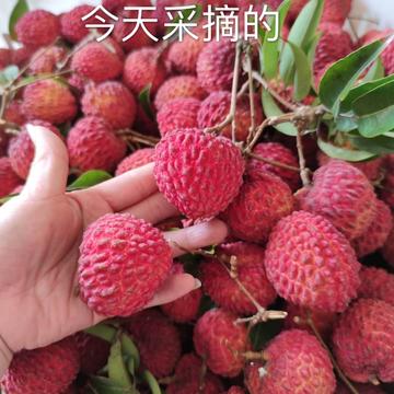 杨娇于2020-05-22 13:48发布的图片