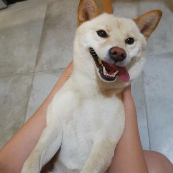 花果山大圣于2020-05-23 17:23发布的图片