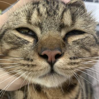 咸鱼翻身翻两次于2020-05-23 18:51发布的图片