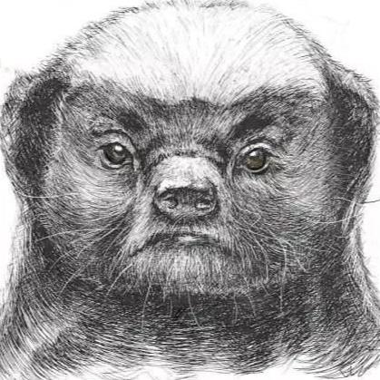 神算于2020-05-23 23:04发布的图片