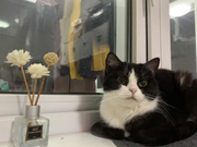 icc_66的个人资料头像