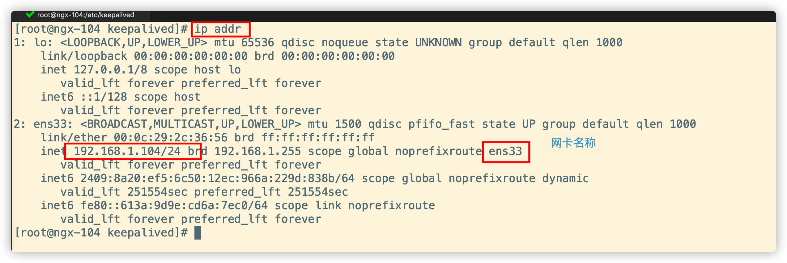 image-20200521214418246