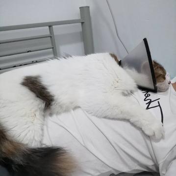 我就皮一下于2020-05-25 09:09发布的图片