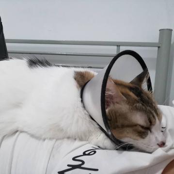 我就皮一下于2020-05-25 09:09发布的图片