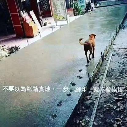 辰枫于2020-05-25 12:28发布的图片
