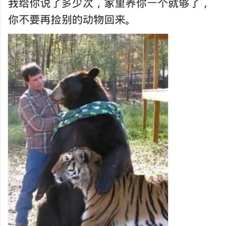 YMing于2020-05-25 17:55发布的图片