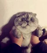 任阿阿啊的个人资料头像