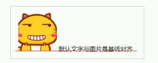 图片、表单等默认是基线对齐.png