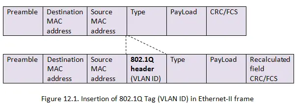 vlan-header