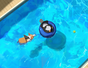 铛铛当的个人资料头像