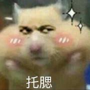 坐在坟头戏弄鬼的个人资料头像