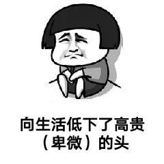一拳不是超人于2020-05-26 15:48发布的图片