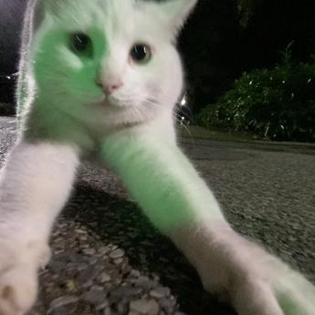 卡拉克于2020-05-26 16:40发布的图片