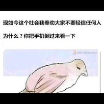 RockyZ于2020-05-26 17:43发布的图片