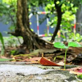 代码盐究员于2020-05-26 22:47发布的图片