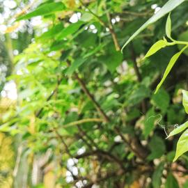 代码盐究员于2020-05-26 22:47发布的图片