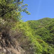 一起虚度时光的个人资料头像