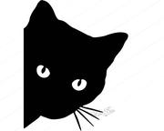 miaomiao_的个人资料头像