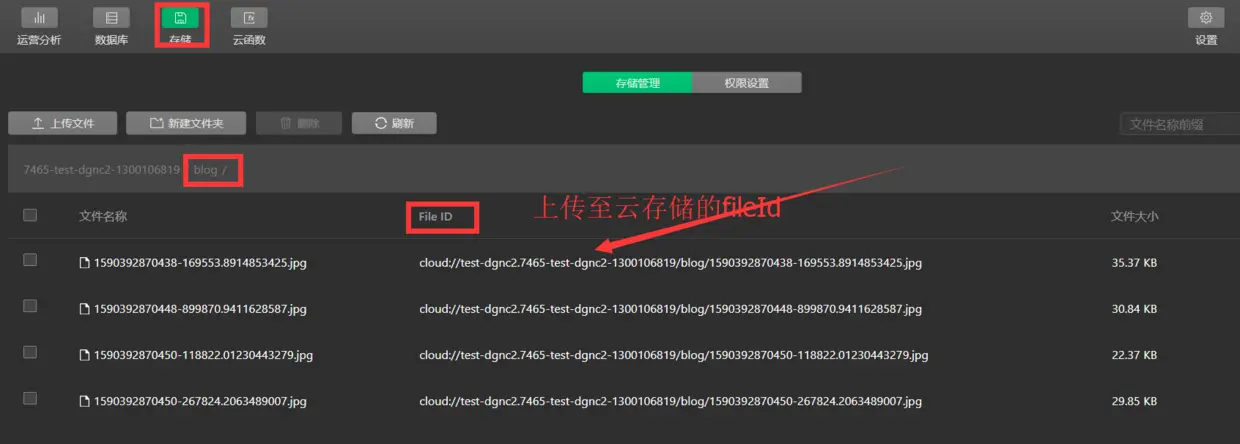 上传至云存储的fileId.png