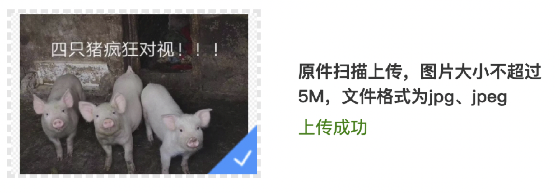 上传成功