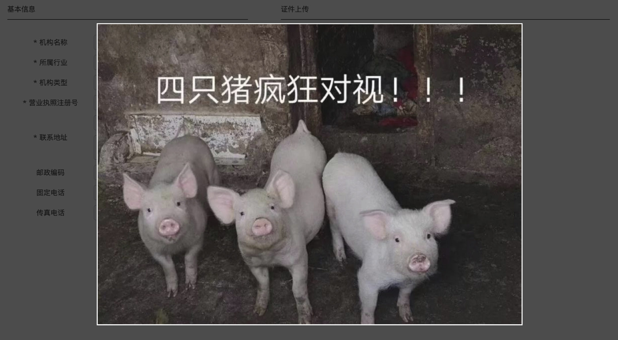 预览图片