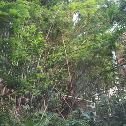 神奇的程序员于2020-05-27 22:49发布的图片