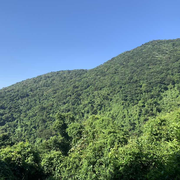 xiaomingtongxue的个人资料头像