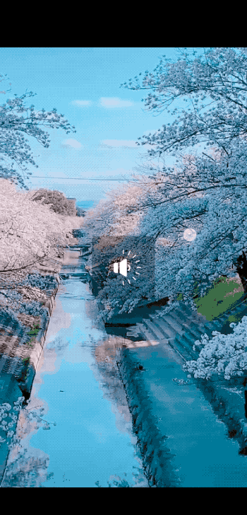 2020-05-05 00_03_40.gif